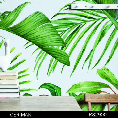 Palm Leaves