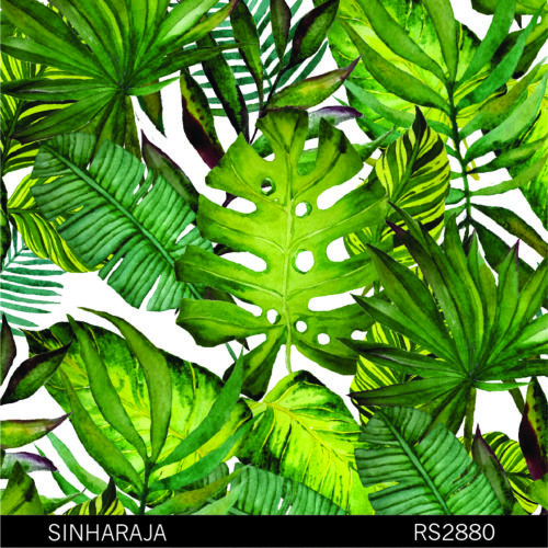 Variegated leaves